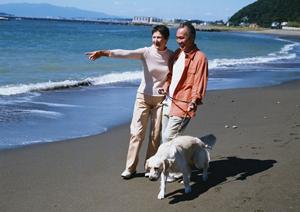 愛犬と暮らす家づくりを考えるなら