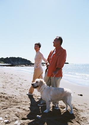 シロアリ駆除の信頼と実績を誇るアサンテ:迅速対応と無料見積もりで安心のサービス提供