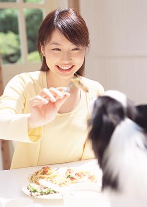 シロアリ駆除のプロフェッショナル|アサンテが提供する信頼のサービスと安心の実績