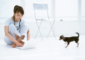 ドッグフードの通販はグッドドッグで