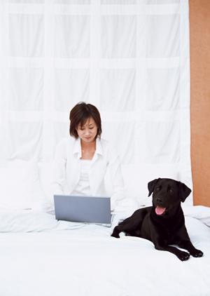 原宿のカワウソカフェへ行ってみよう