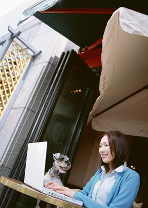 ティーカッププードルはブリーダーで購入